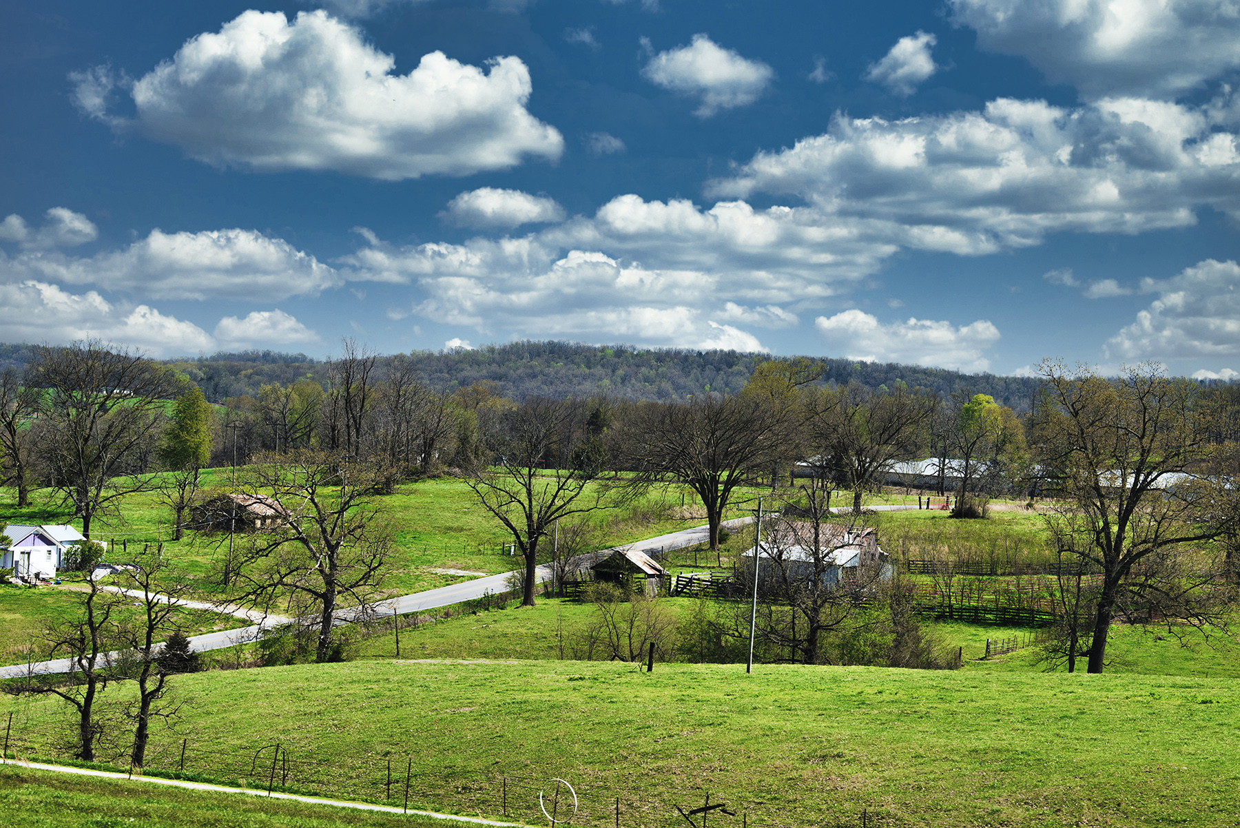 EnhancedCountrysideWEB_4966