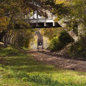 Cotter R/R Bridge 20" x 13"  3014