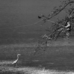 Fishing on a misty day 20" x 13"  5043