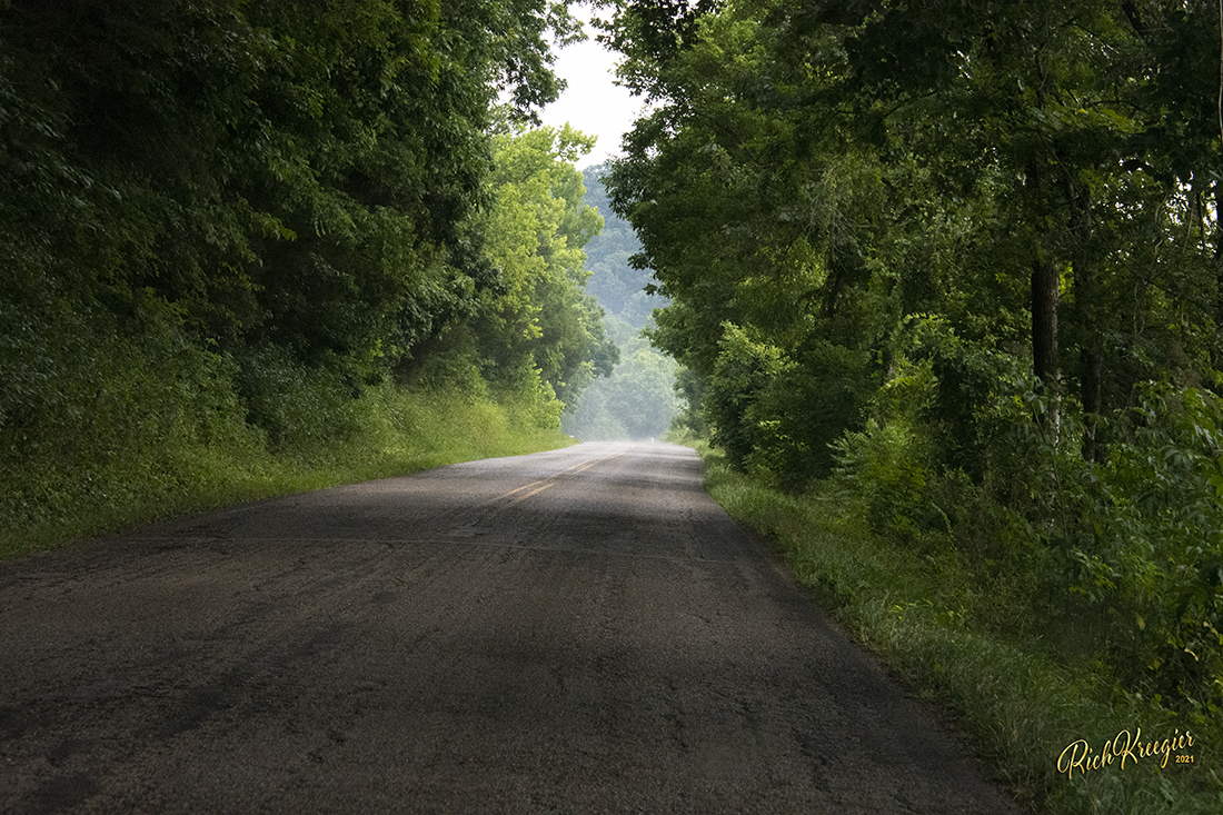 RT1Treetunnel72_2332