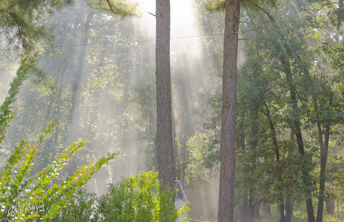 SmokeThruTheTreesCR72_0161