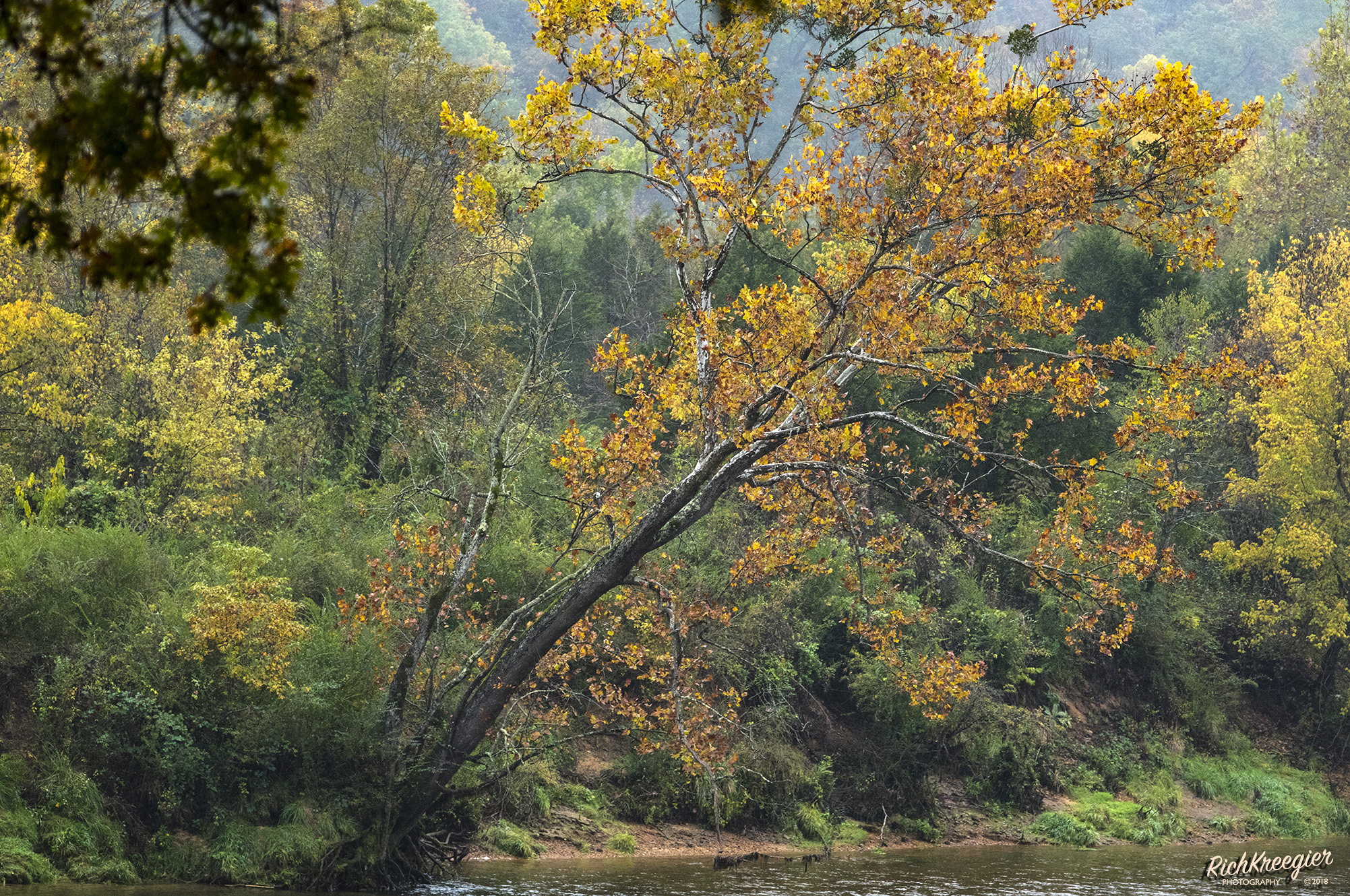 WhiteRiverColor18-100-1_2666